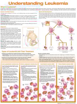 Understanding Leukemia Anatomical Chart