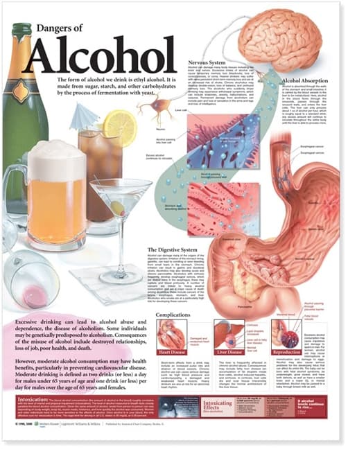 Dangers of Alcohol Anatomical Chart