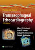 Perrino and Reeves' Practical Approach to Transesophageal Echocardiography