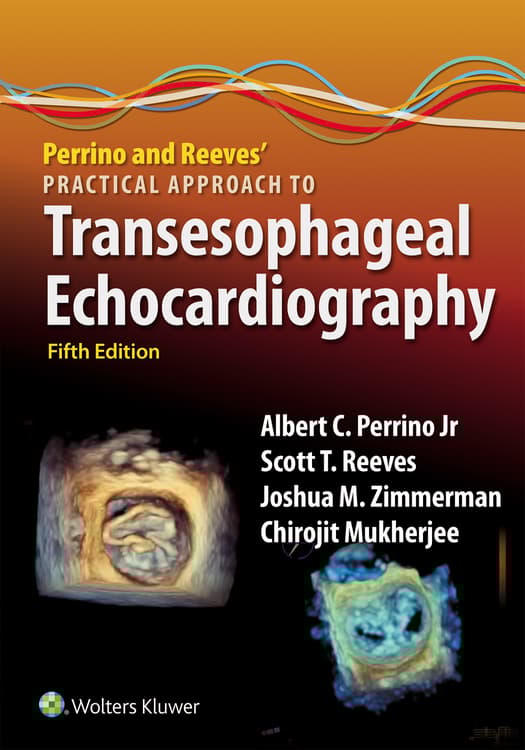 Perrino and Reeves' Practical Approach to Transesophageal Echocardiography