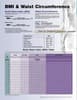 BMI and Waist Circumference