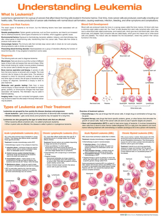 Understanding Leukemia Anatomical Chart