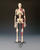 Painted Big Tim Skeleton