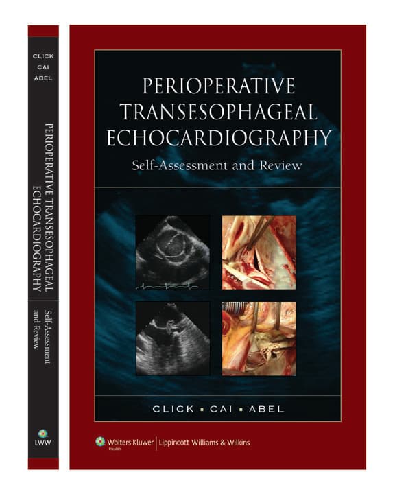 Perioperative Transesophageal Echocardiography Self-Assessment and