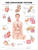 Endocrine System Anatomical Chart