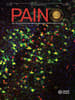 PAIN Online