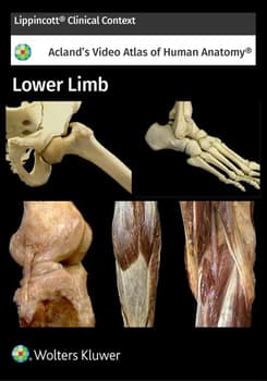 Acland's Anatomy: Lower Limb