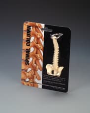 Spine Key Ring