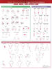 Travell, Simons & Simons’ Trigger Point Pain Patterns Wall Chart