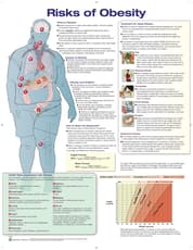 Risks of Obesity