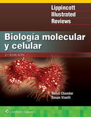 LIR. Biología molecular y celular