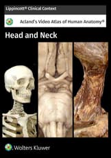 Acland's Anatomy: Head and Neck