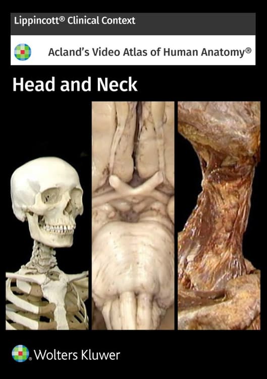 Acland's Anatomy: Head and Neck