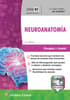 Serie RT. Neuroanatomía