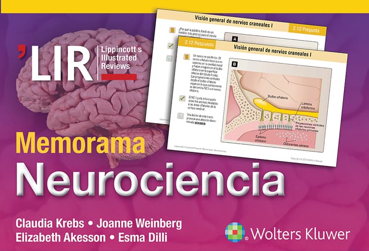 Memorama. Neurociencia