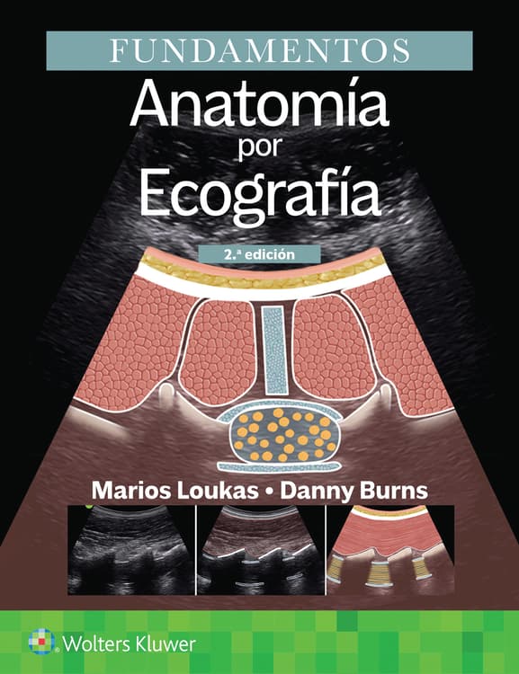 Fundamentos. Anatomía por ecografía