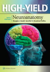 High-Yield Neuroanatomy