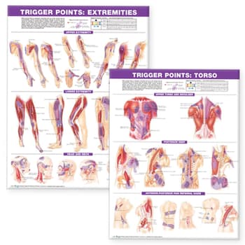 Trigger Point Chart Set: Torso & Extremities Paper