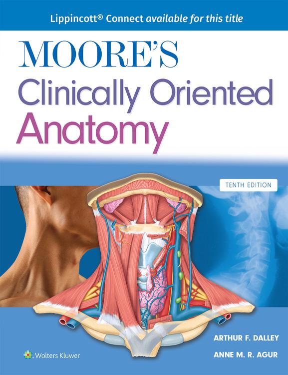 Moore's Clinically Oriented Anatomy