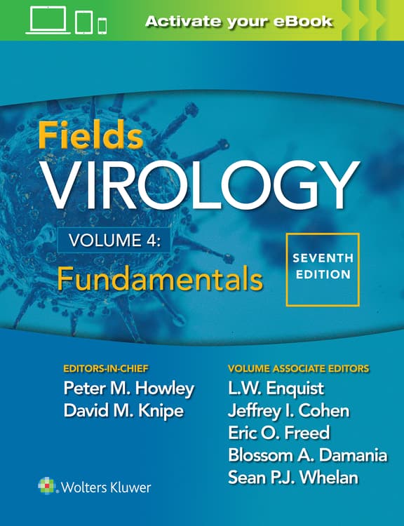 洋書 Wiley Paperback Fundamentals of Molecular Virology-