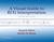 A Visual Guide to ECG Interpretation: eBook with Multimedia