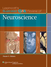 VitalSource e-Book for Lippincott's Illustrated Q&A Review of Neuroscience