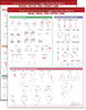 Travell, Simons & Simons’ Trigger Point Pain Patterns Wall Charts Package