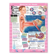 Blueprint for Health Your Ears Chart