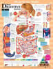 Blueprint for Health Your Digestive System Chart