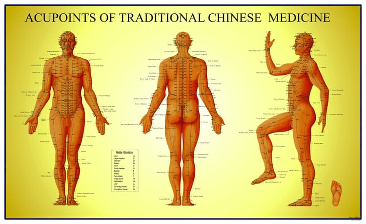 Acupoints of Traditional Chinese Medicine Chart: Male
