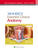 Moore's Essential Clinical Anatomy