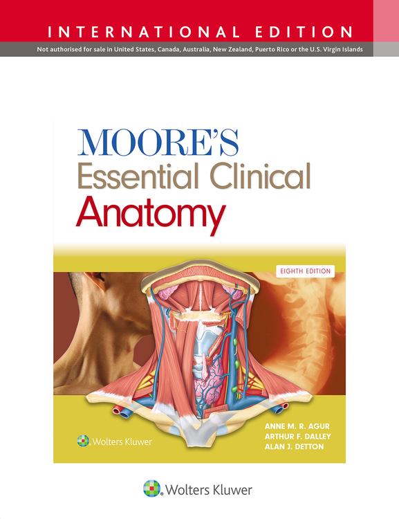 Moore's Essential Clinical Anatomy