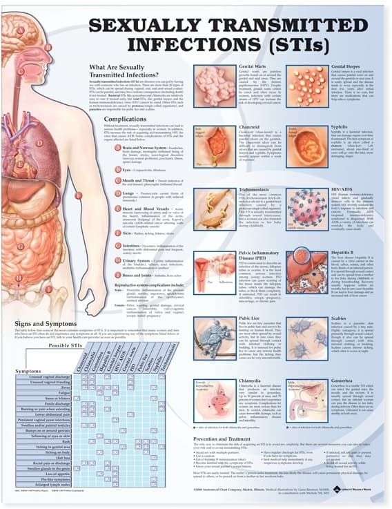 Sexually Transmitted Infections Anatomical Chart