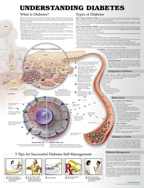 Understanding Diabetes Anatomical Chart