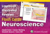 Lippincott Illustrated Reviews Flash Cards: Neuroscience