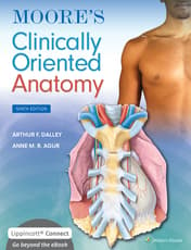 Moore's Clinically Oriented Anatomy