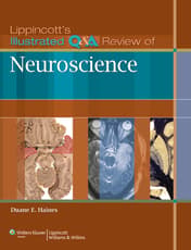 VitalSource e-Book for Lippincott's Illustrated Q&A Review of Neuroscience