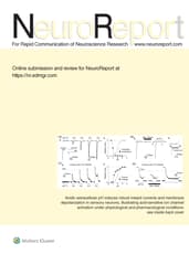 NeuroReport Online