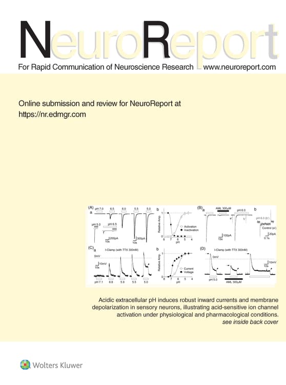 NeuroReport Online