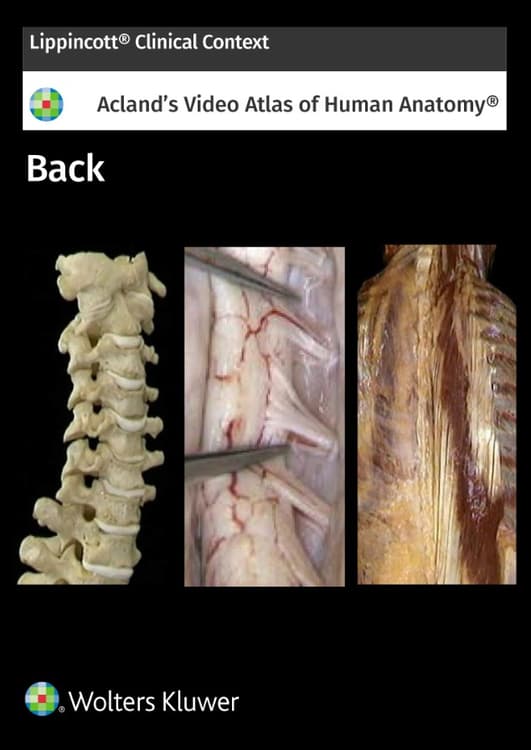 Acland's Anatomy: Back