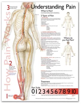 The Pain Scale of Back Pain - Florida Surgery Consultants