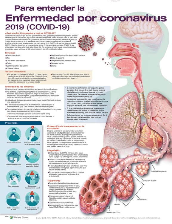 Para entender la Enfermedad por coronavirus 2019 (COVID-19)