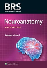 BRS Neuroanatomy