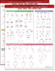 Travell, Simons & Simons’ Trigger Point Pain Patterns Wall Charts Package