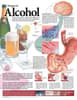 Dangers of Alcohol Anatomical Chart