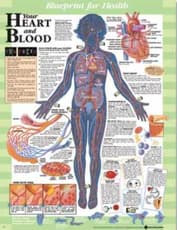 Blueprint for Health Your Heart and Blood Chart