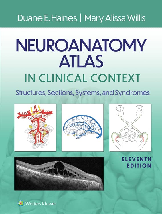 Neuroanatomy Atlas in Clinical Context