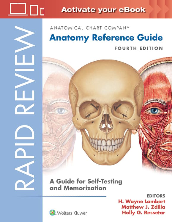 Rapid Review: Anatomy Reference Guide
