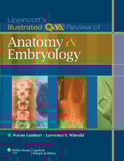 Lippincott's Illustrated Q&A Review of Anatomy and Embryology