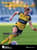 Strength and Conditioning Journal Online